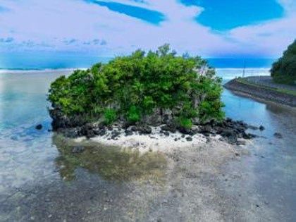 Futi Oil Painting Canvas 50*70