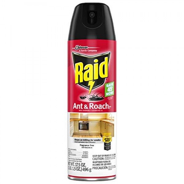 RAID ANT &amp; ROACH FRAGRANCE FREE 17.5 OZ