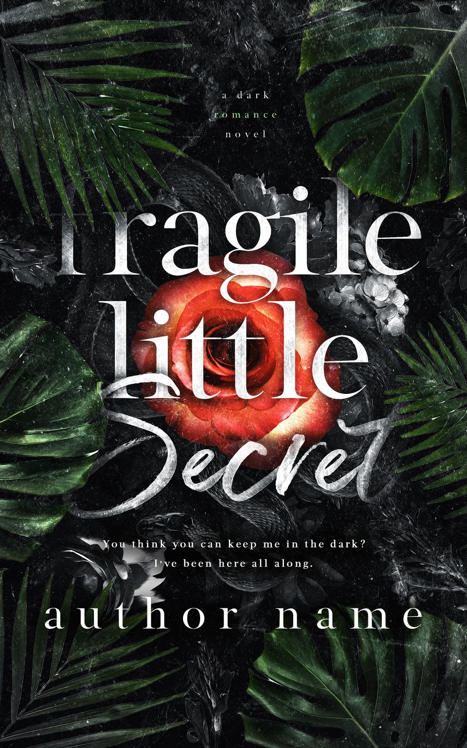 SINGLE COVER PACKAGE: FRAGILE LITTLE SECRET