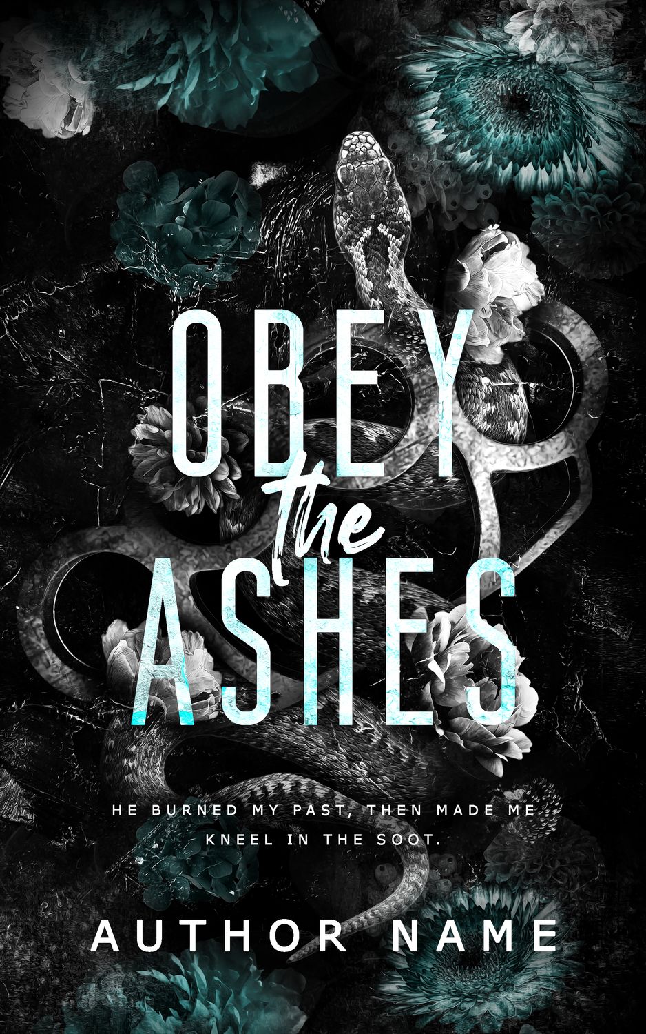 SINGLE COVER PACKAGE: OBEY THE ASHES