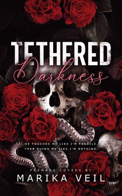 SINGLE COVER PACKAGE: TETHERED DARKNESS