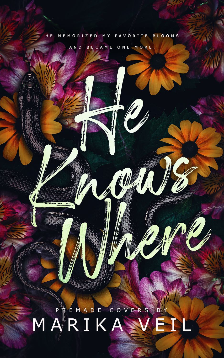 SINGLE COVER PACKAGE: HE KNOWS WHERE