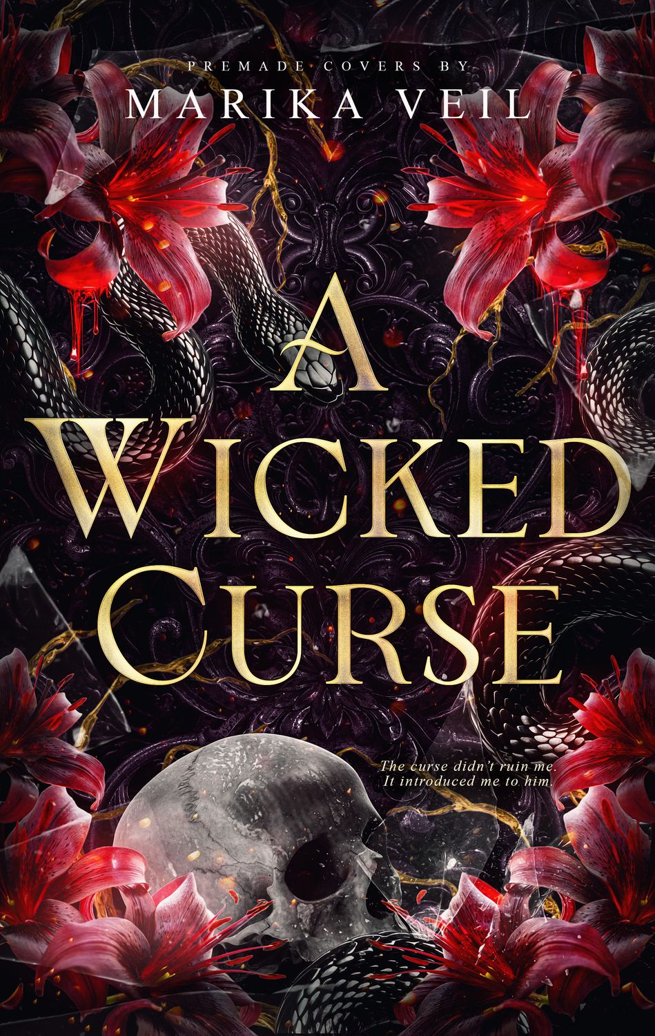 SINGLE COVER PACKAGE: A WICKED CURSE
