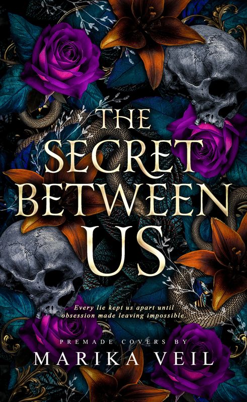 SINGLE COVER PACKAGE: THE SECRET BETWEEN US