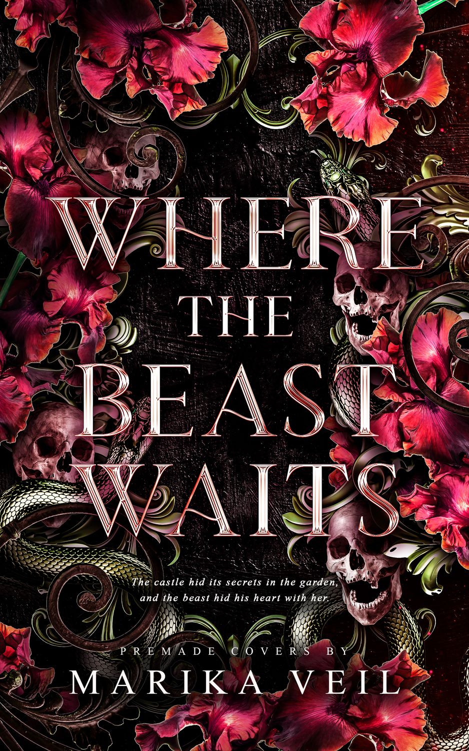 SINGLE COVER PACKAGE: WHERE THE BEAST WAITS