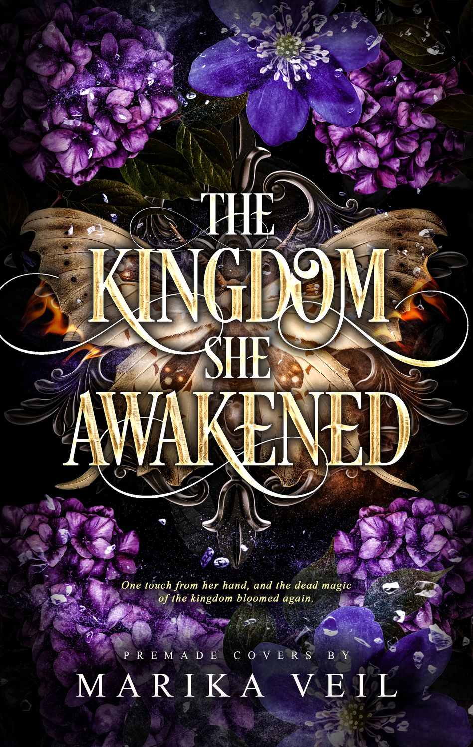 SINGLE COVER PACKAGE: THE KINGDOM SHE AWAKENED
