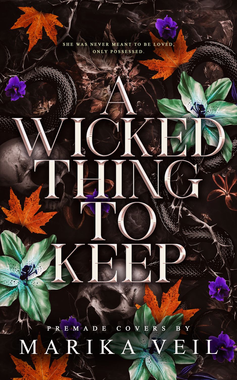 SINGLE COVER PACKAGE: A WICKED THING TO KEEP