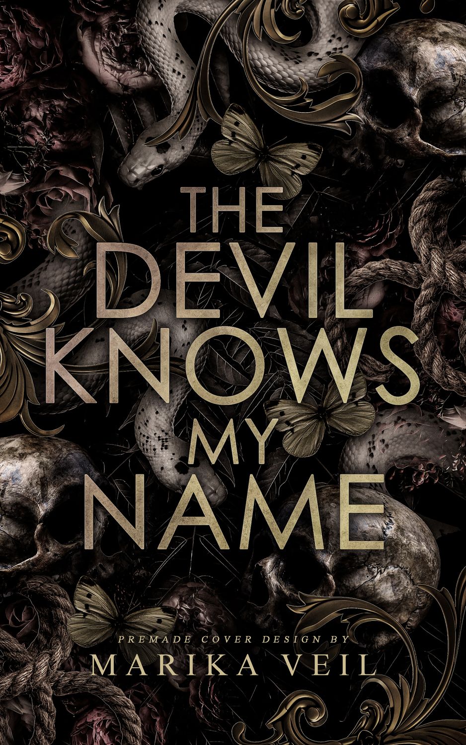 DUOLOGY SET: THE DEVIL KNOWS MY NAME, THE DEVIL WANTS MY SOUL