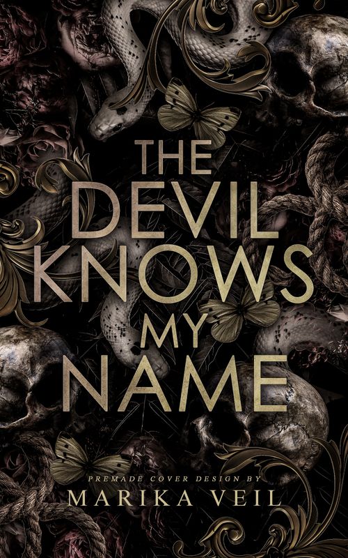 DUOLOGY SET: THE DEVIL KNOWS MY NAME, THE DEVIL WANTS MY SOUL