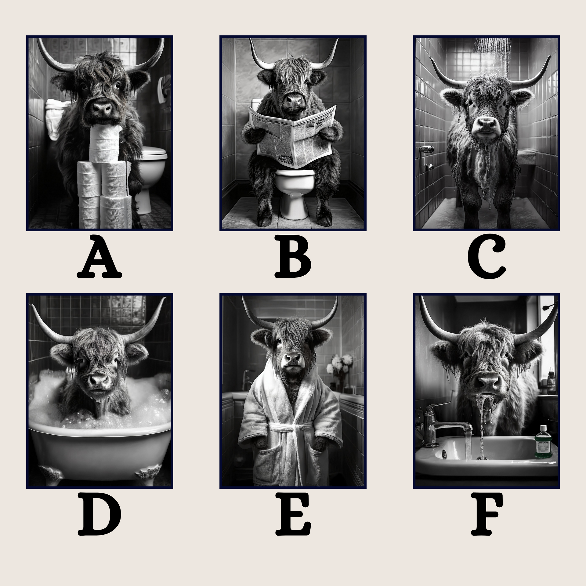 Highland Cow in the Bathroom Print B&W