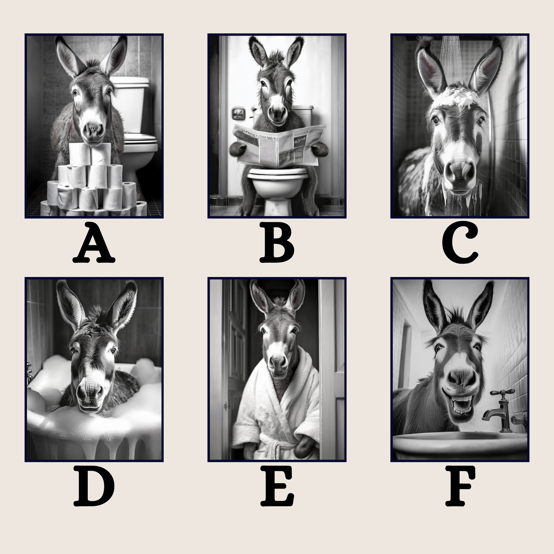 Donkey in the Bathroom Print B&W