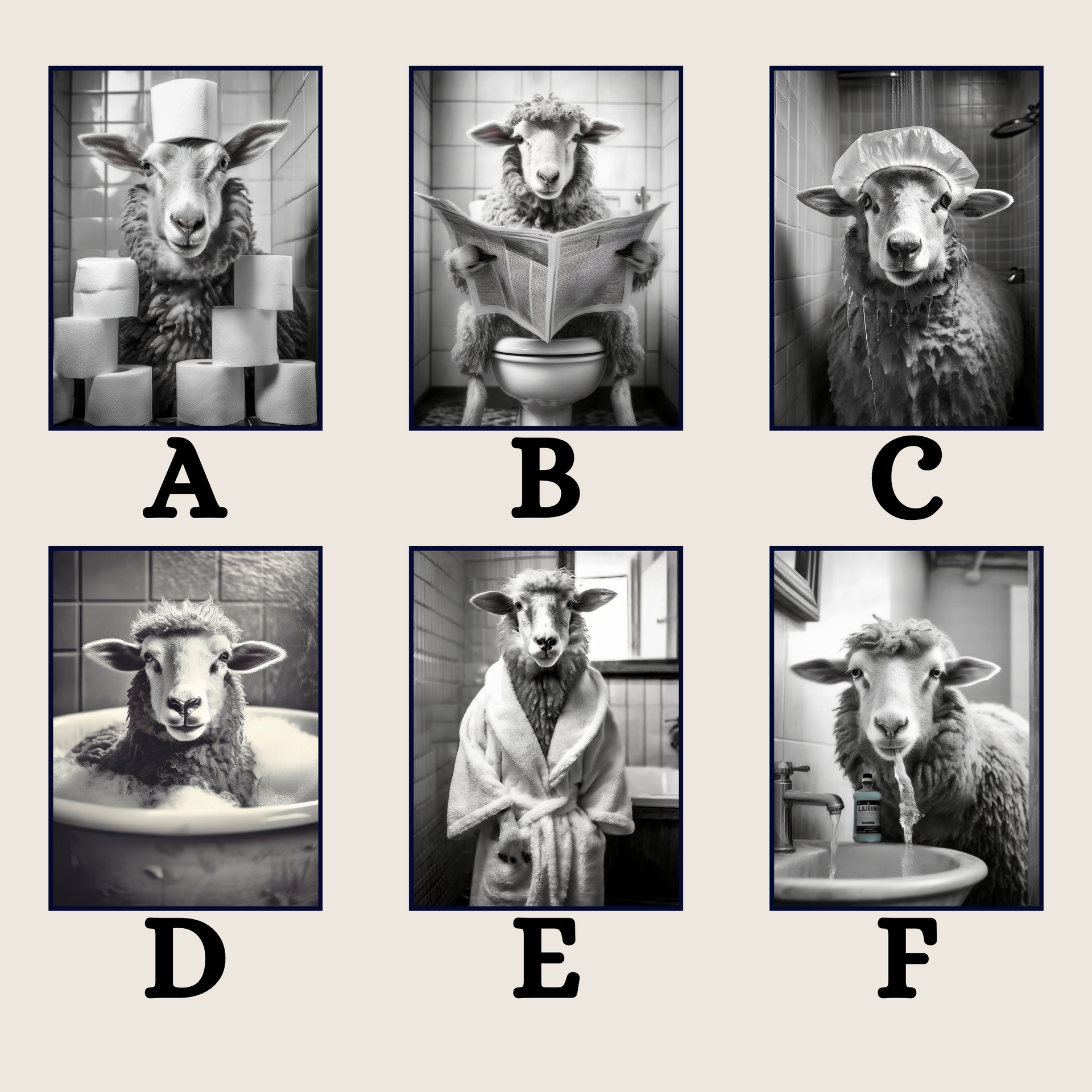 Sheep in the Bathroom Print B&W
