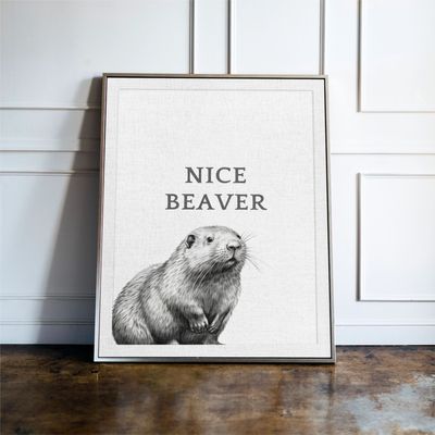 Nice Beaver