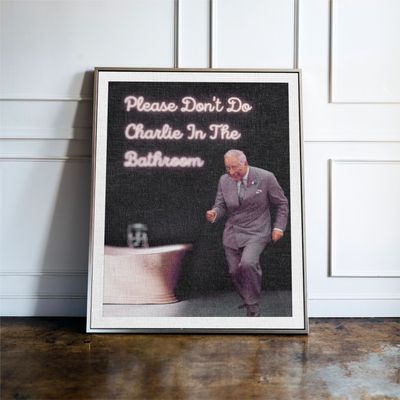Please Don't Do Charlie In The Bathroom