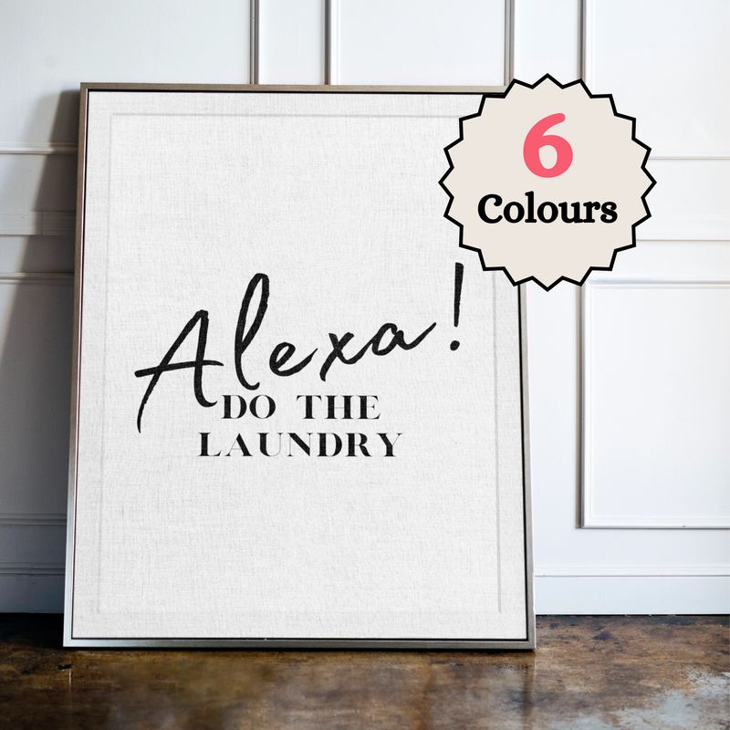 Alexa! Do the Laundry
