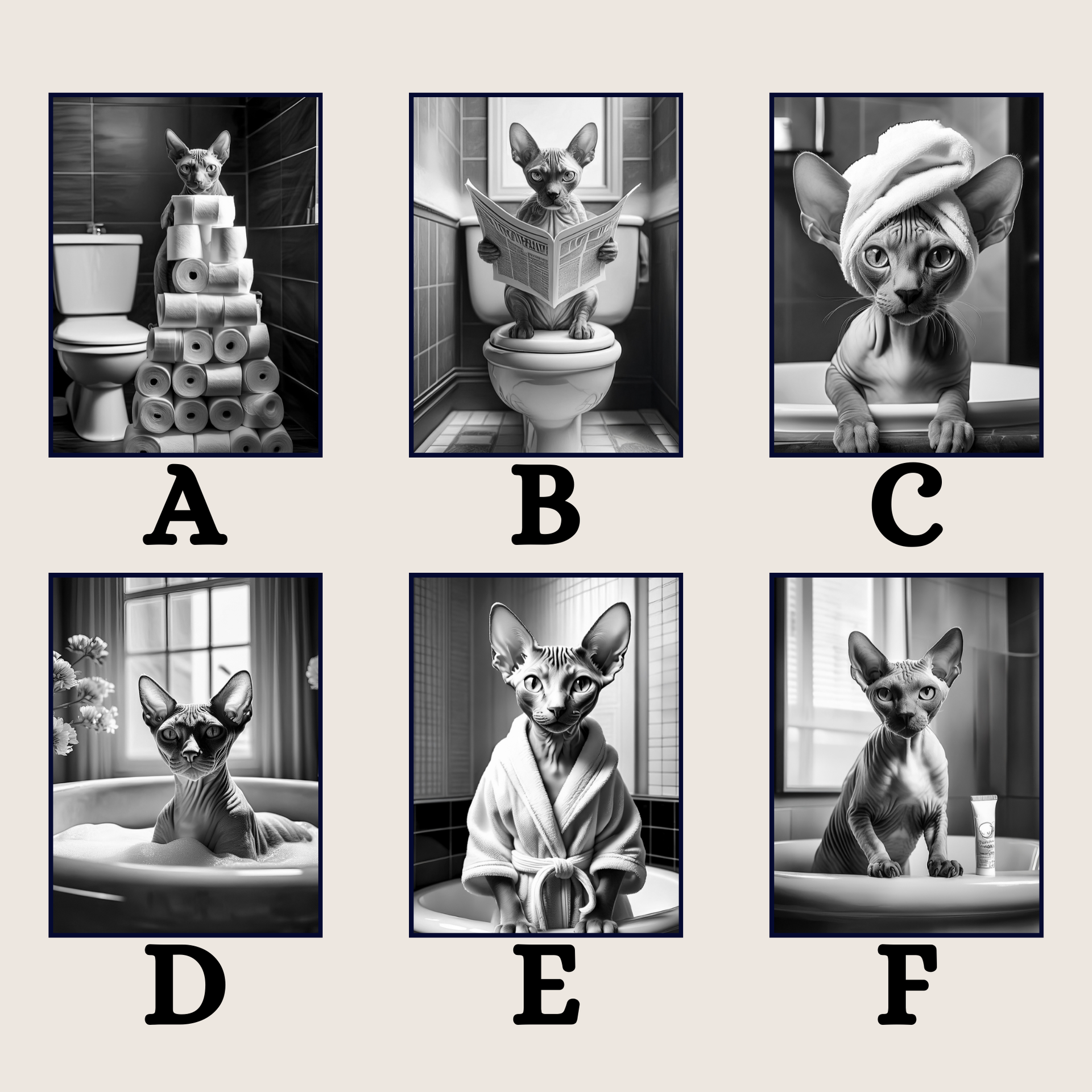 Sphynx Cat in the Bathroom Print B&W