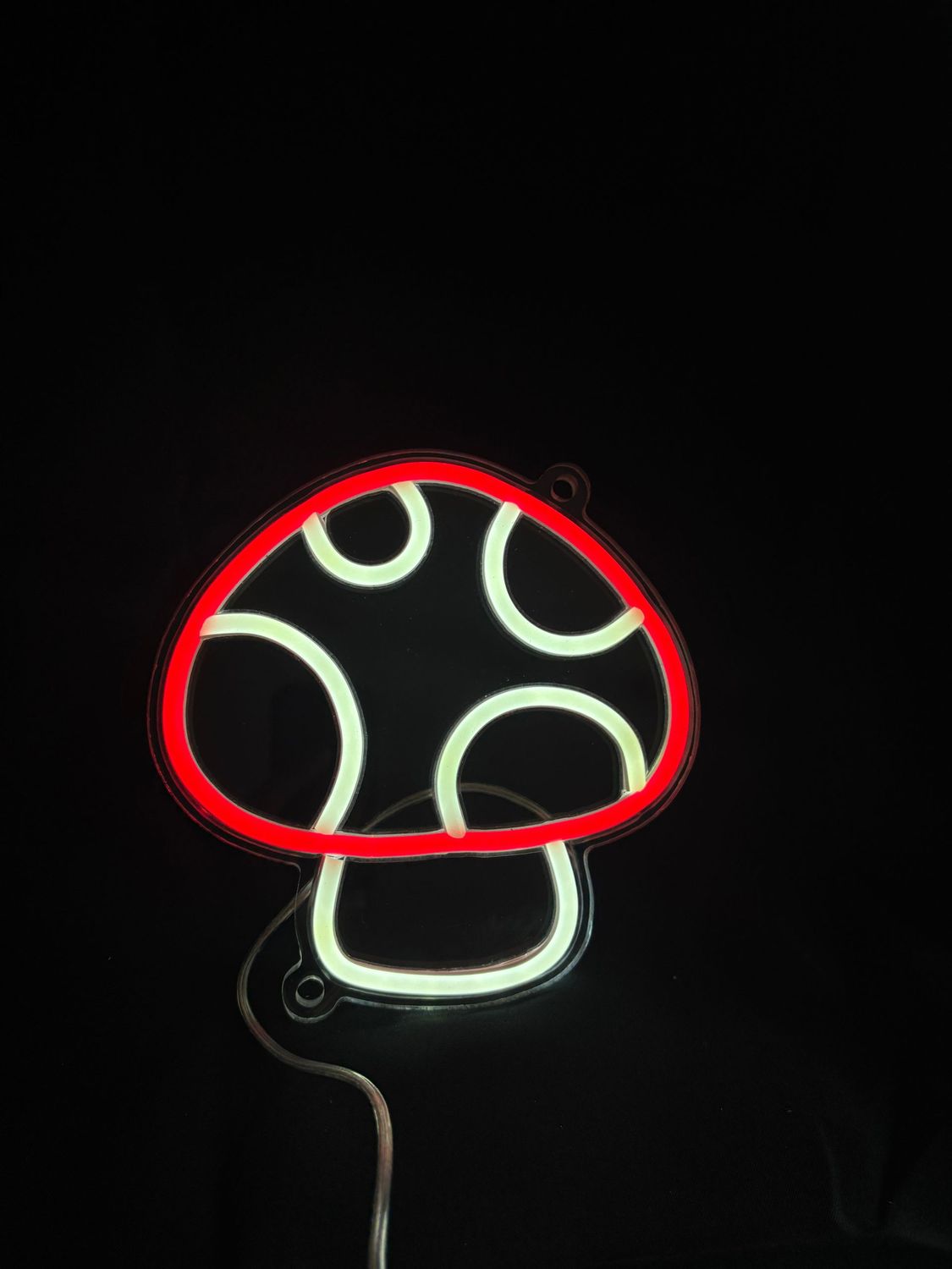 Mushroom Mushroom