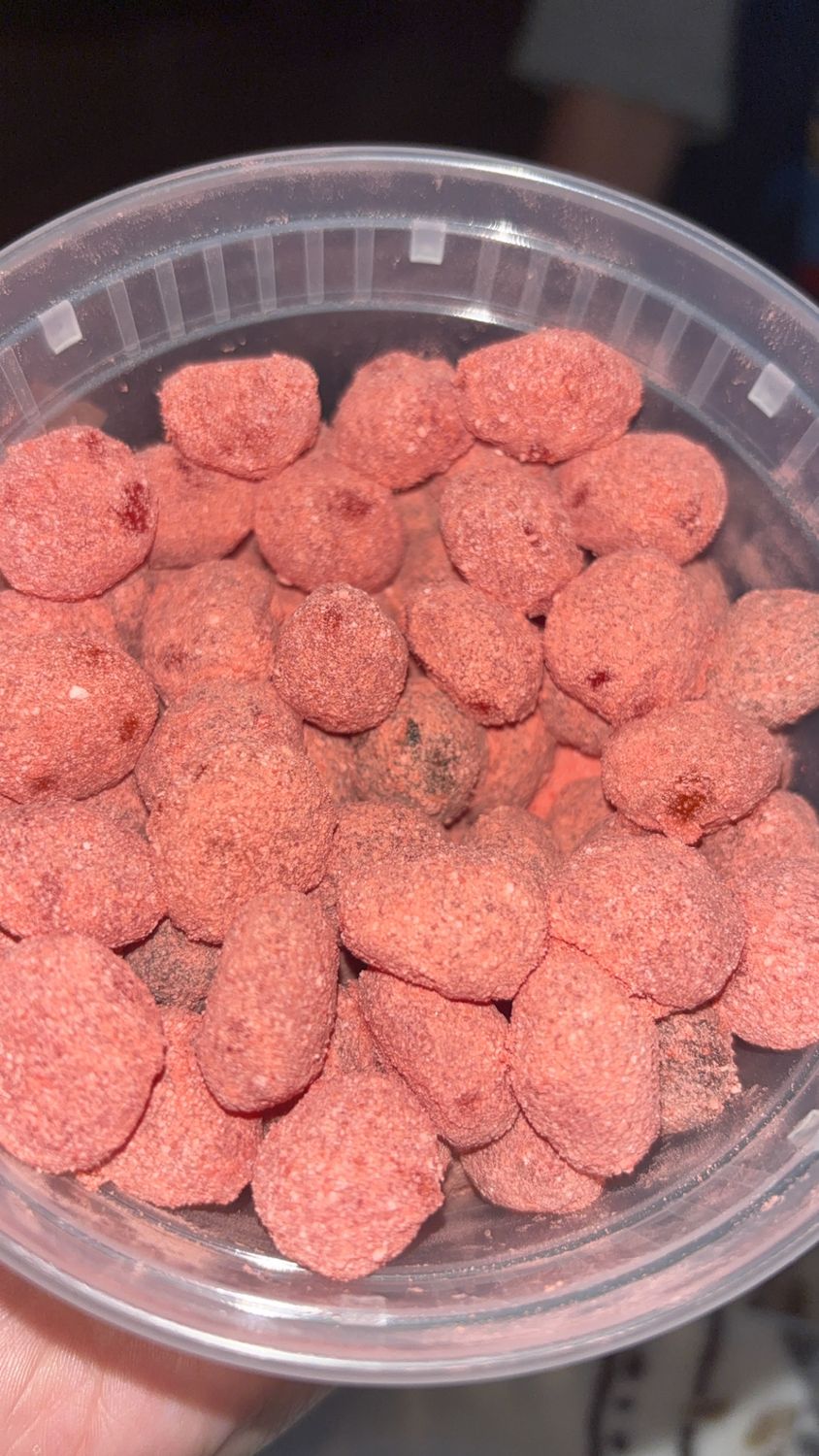 Watermelon sour gushers 1lb (16oz)