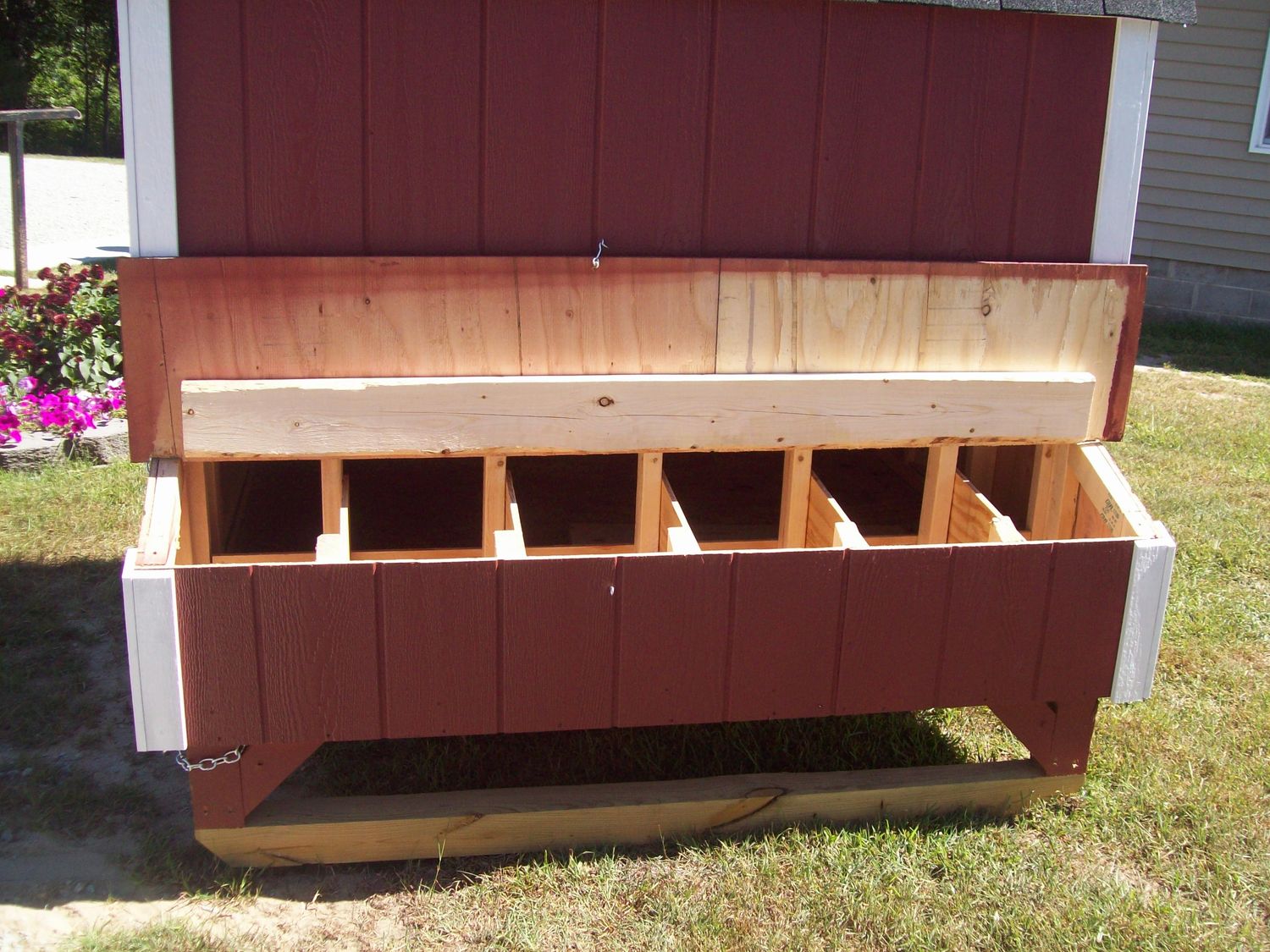 Chicken Coop