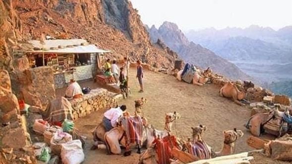 Sharm El Shiekh:   St. Catherine's journey & Mount Moussa Sunrise