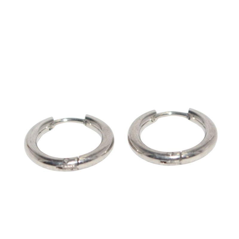 Small Silver Ring Earrings