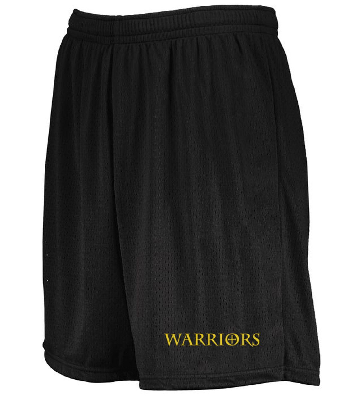 Modern Mesh Gym Shorts - GA