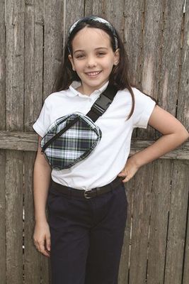 Plaid Fanny Belt Bag