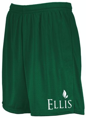 Modern Mesh Gym Shorts- ELL