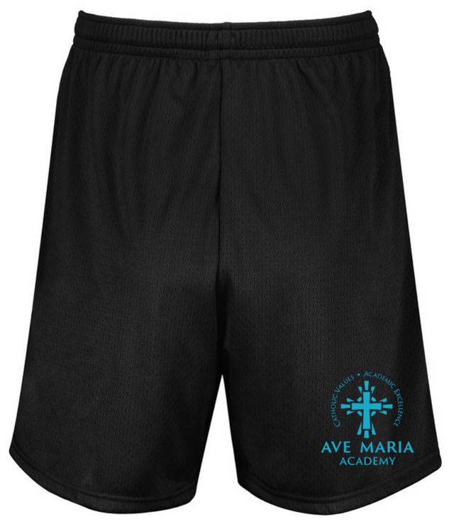 Modern Mesh Gym Shorts - AVE