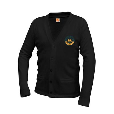V-Neck Cardigan Sweater - AAI