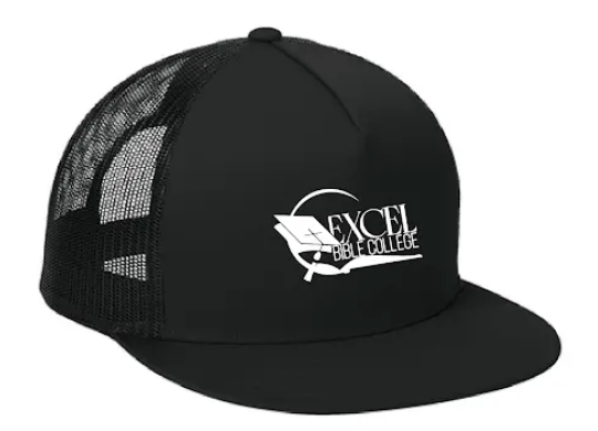 Excel Bible Hat
