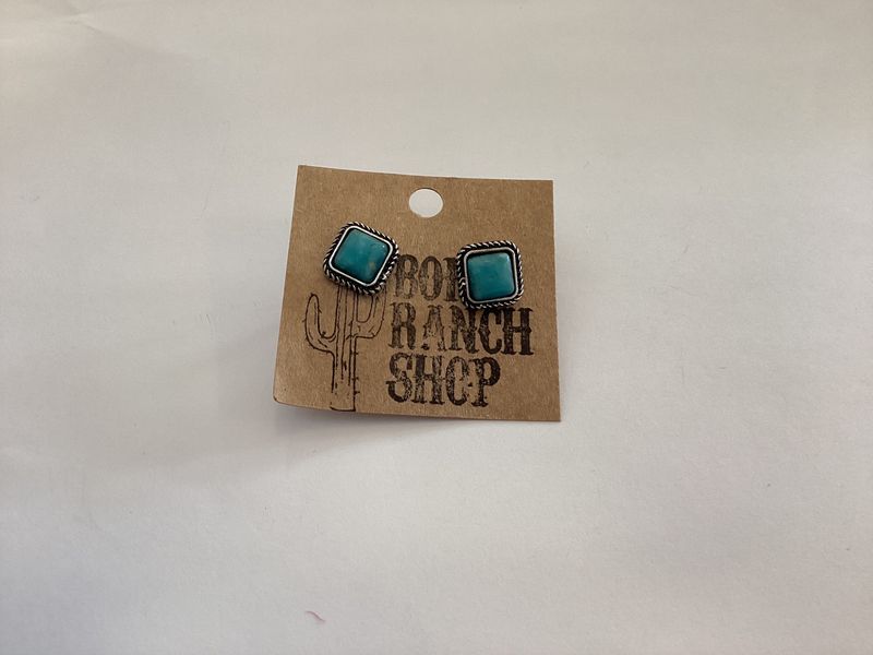 Western Stone Stud Earring