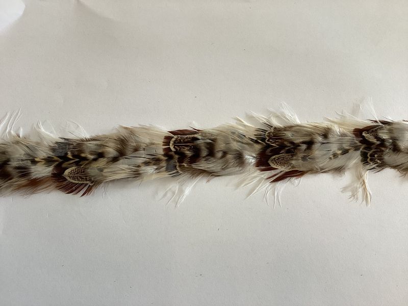 Willow Feather Band