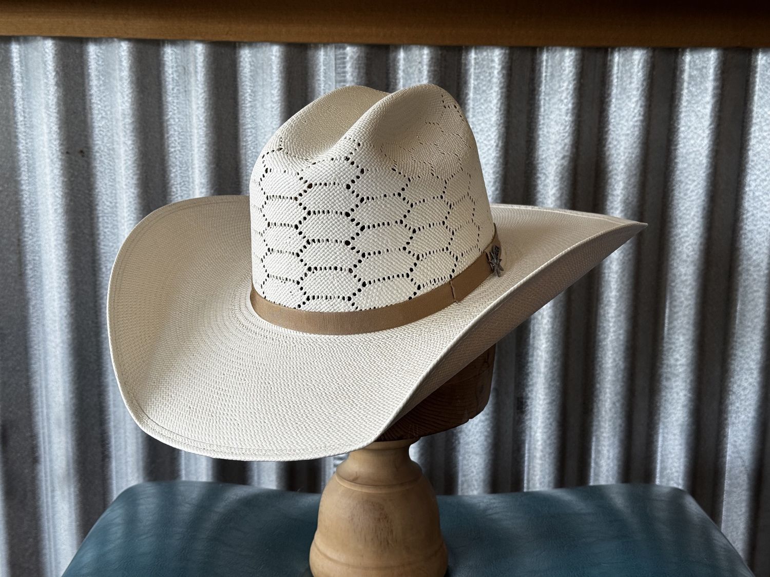 Enzo, Size: 6 5/8