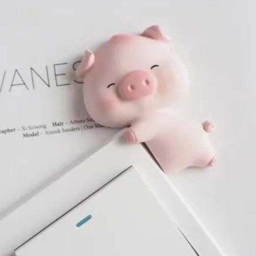 Wall Art- hug pig