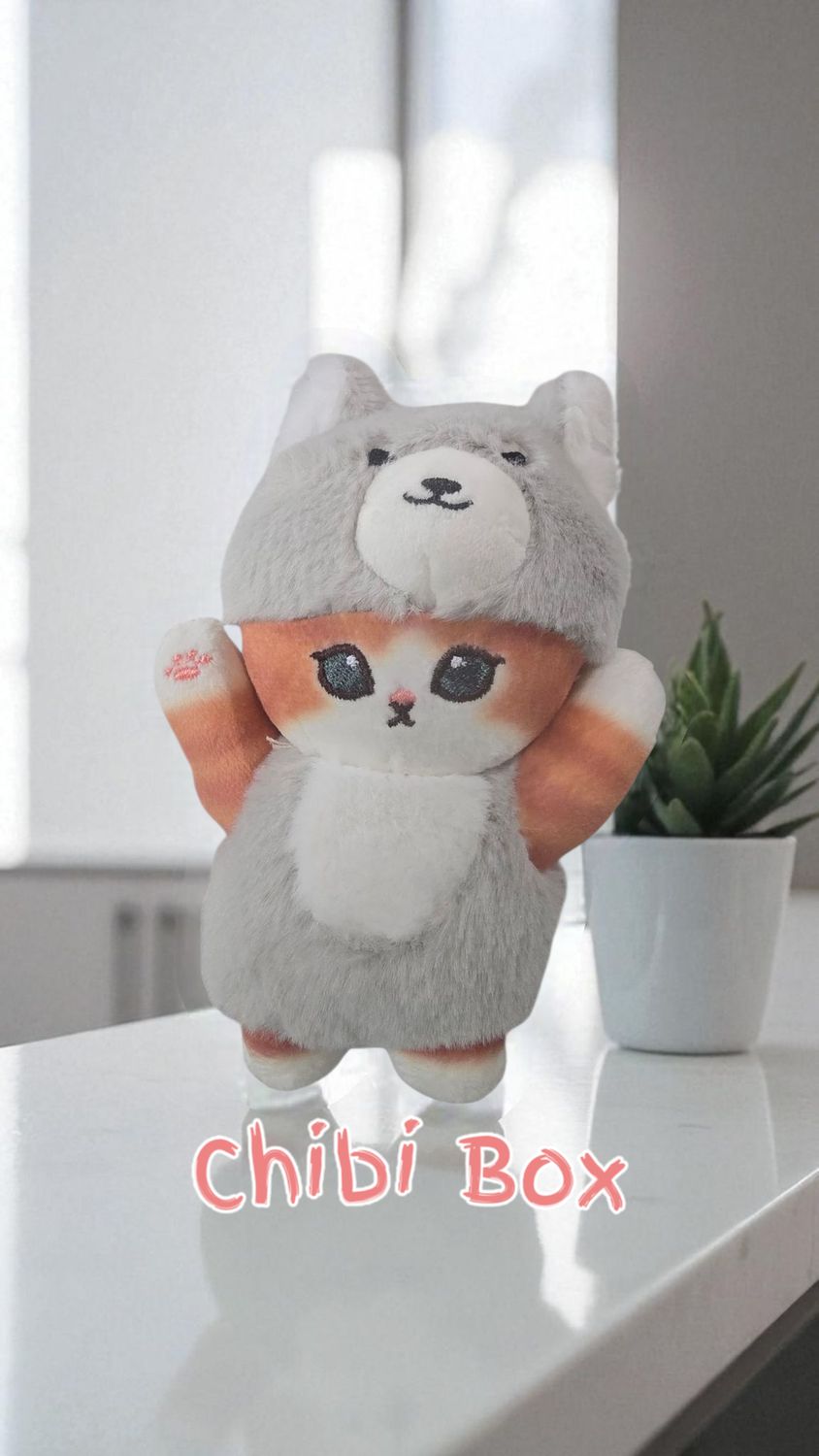 Cat gray bear outfit
