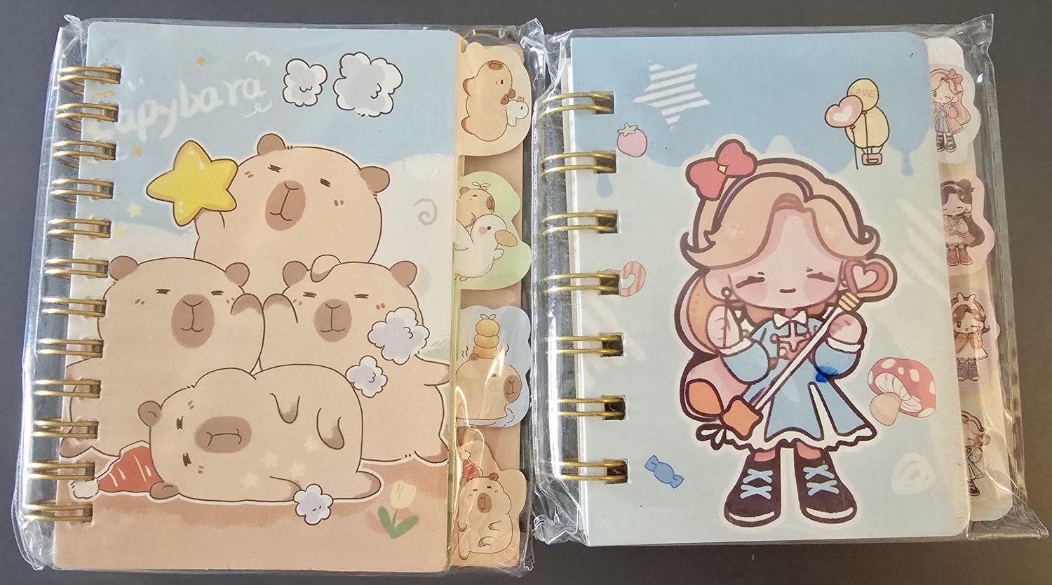 Mini Notebook, Character: capybara