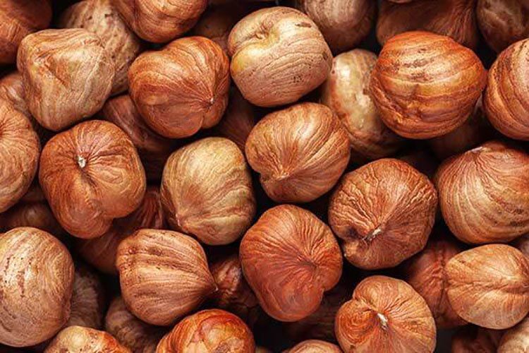 Natural Hazelnut