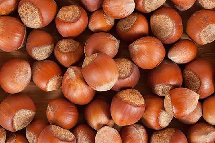 ​Shelled Hazelnuts