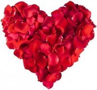 Valentijn rozenblaadjes kleur Rood