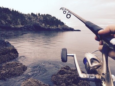 Inshore Fishing Rods