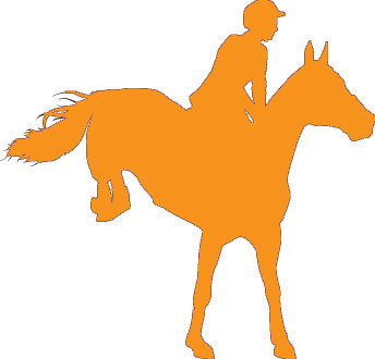Adult Amateur Team Membership NATIONAL DIVISION
