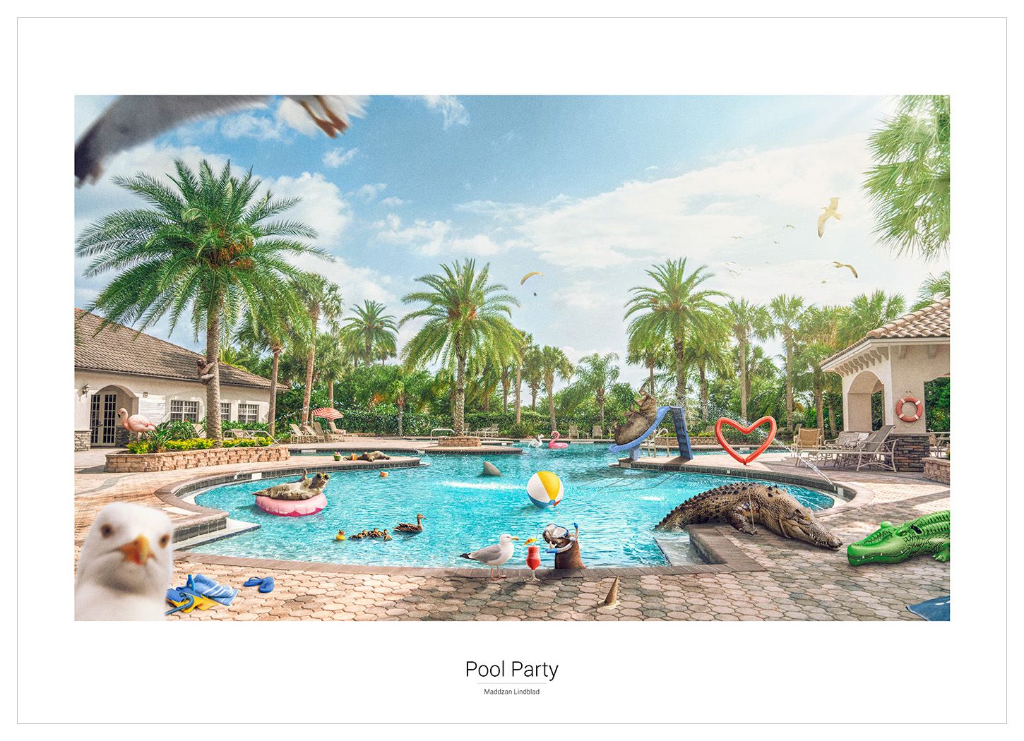 Pool Party - Poster