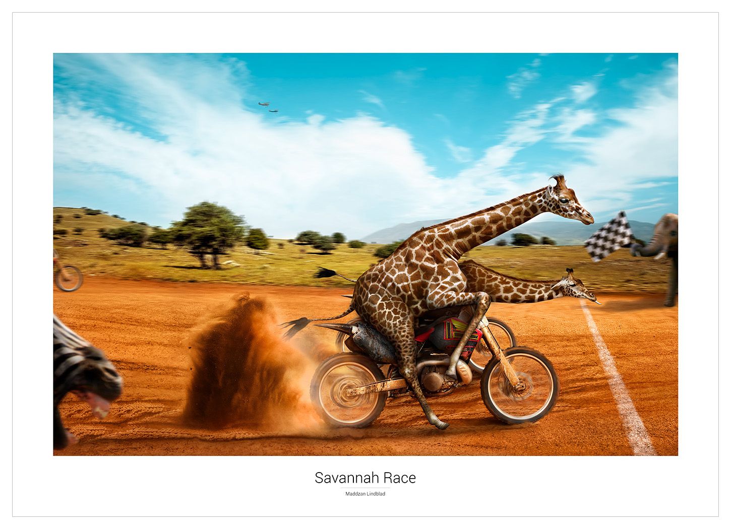 Savannah Race - Poster
