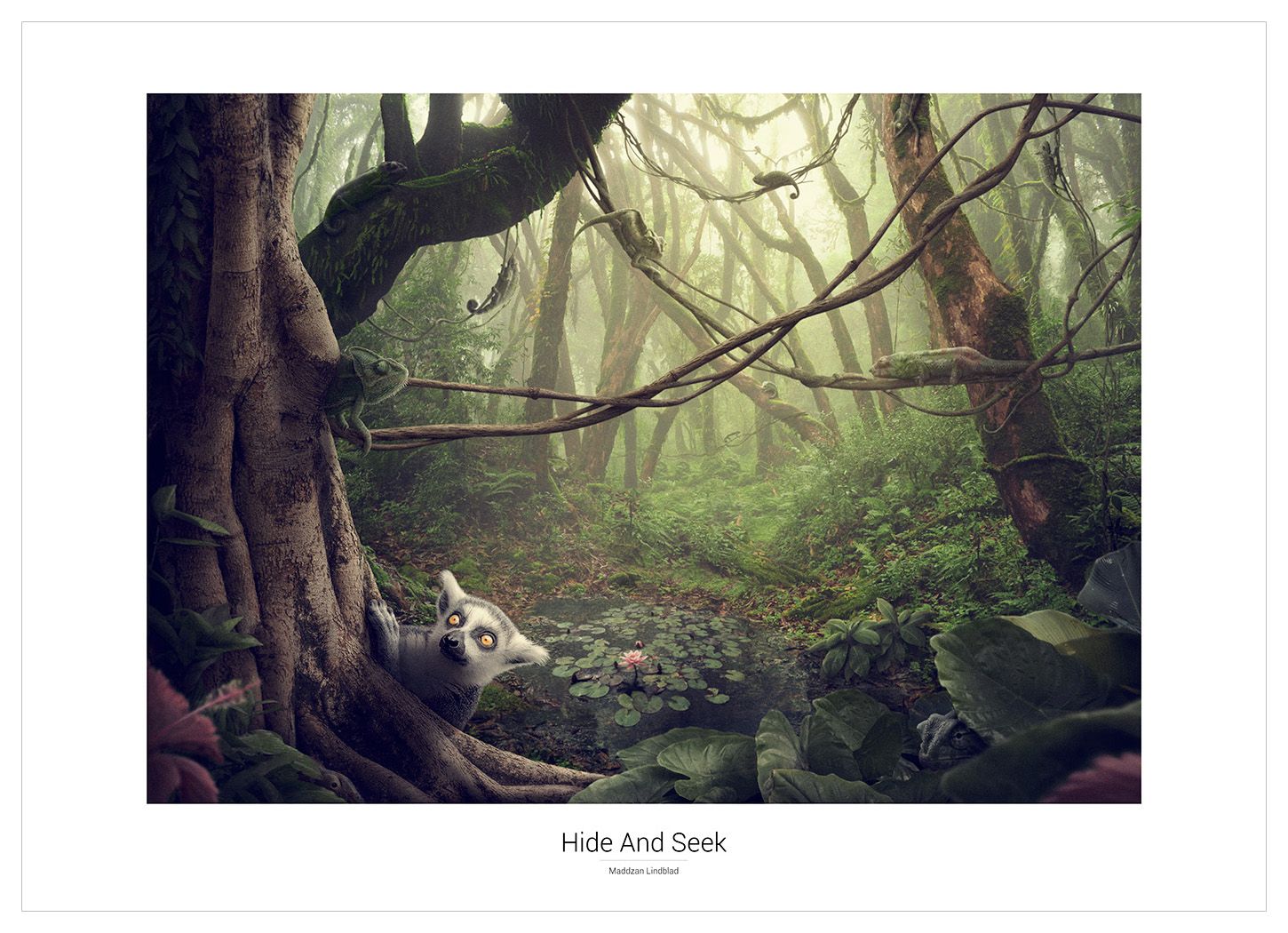 Hide And Seek - Poster