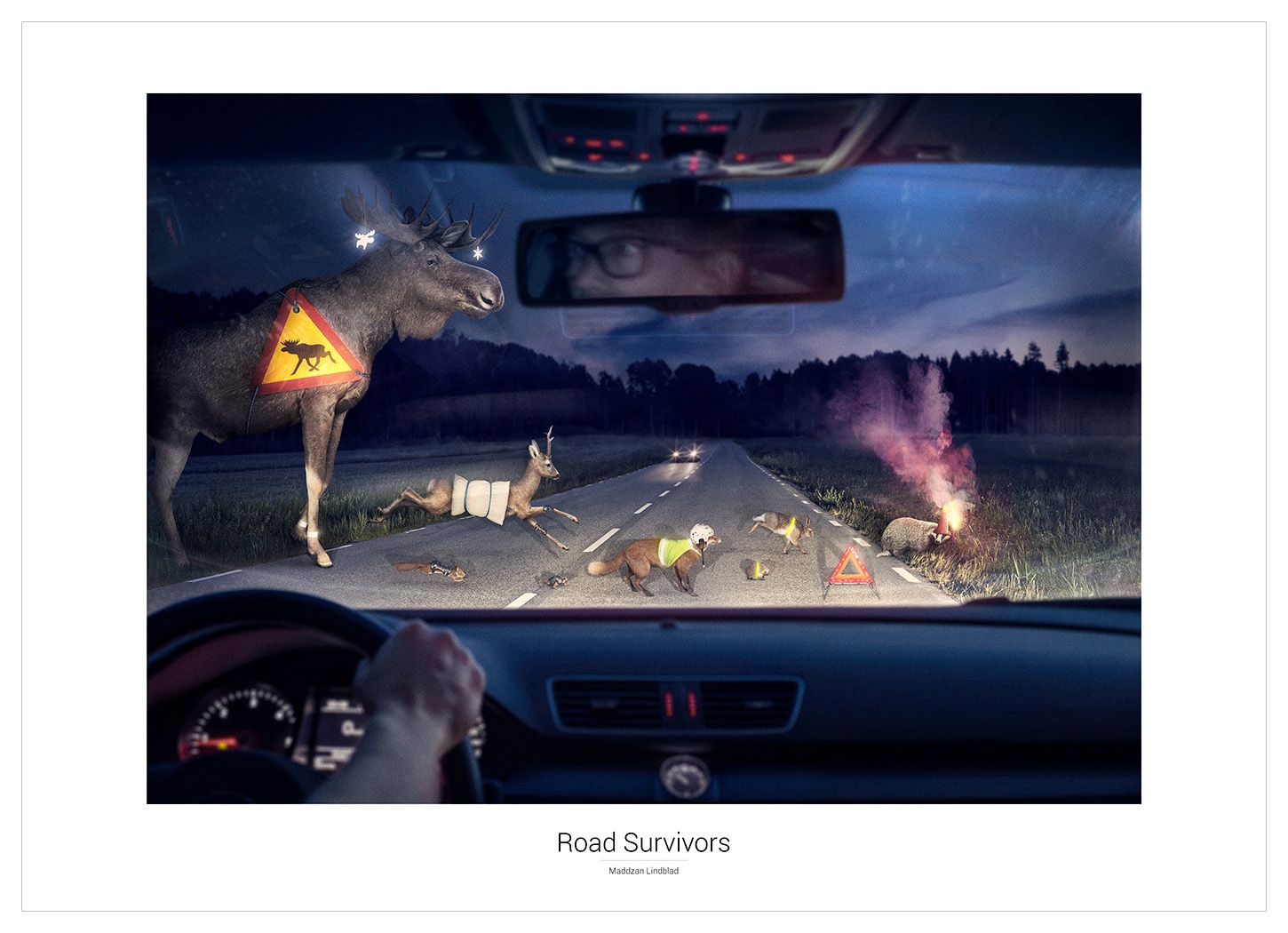 Road Survivors - Poster
