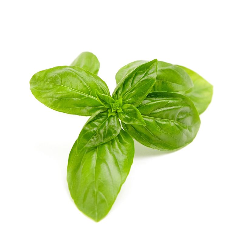 Albahaca Hojas Deshidratadas