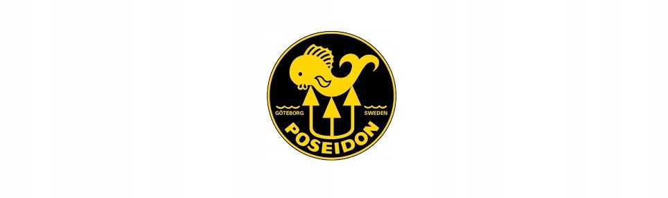 Płetwy nurkowe gumowe techniczne POSEIDON TRIDENT czerwone - L 42-44