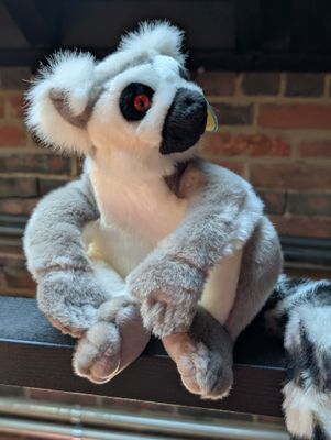 Ringo The Ring-Tailed Lemur | 21 Inch Stuffed  Plush