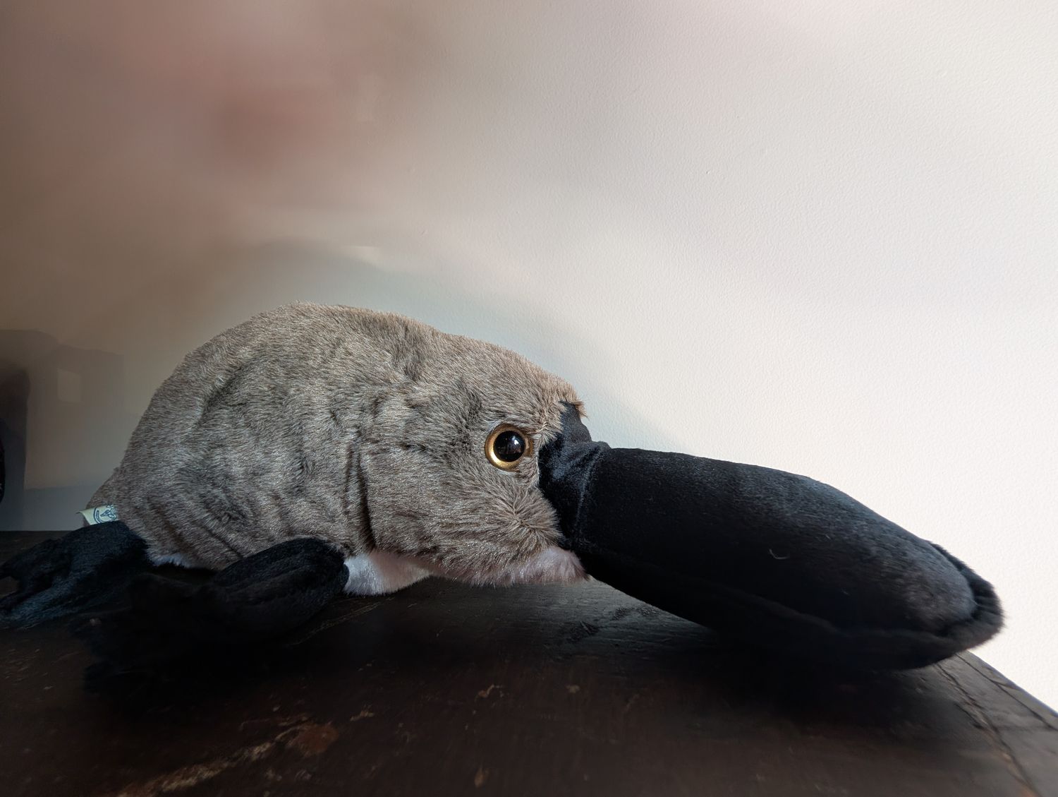 Prudence The Platypus | 21 Inch Stuffed Animal Plush